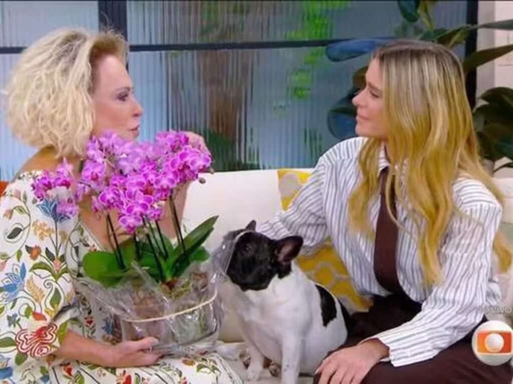 Foto: Reprodição/Globo