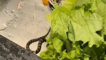 Foto das redes sociais