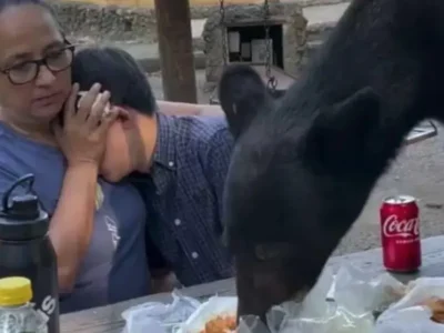 Foto das redes sociais