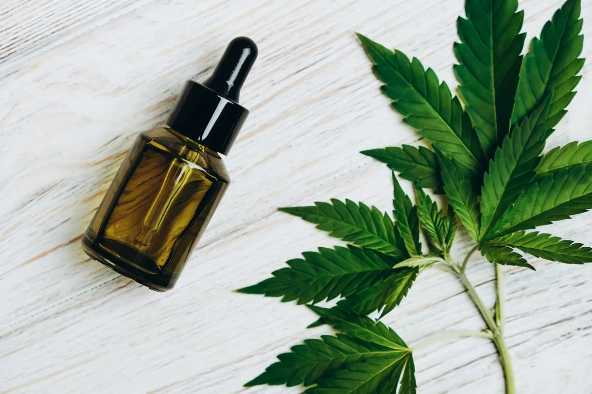 Reprodução: Olena Ruban/Getty Images