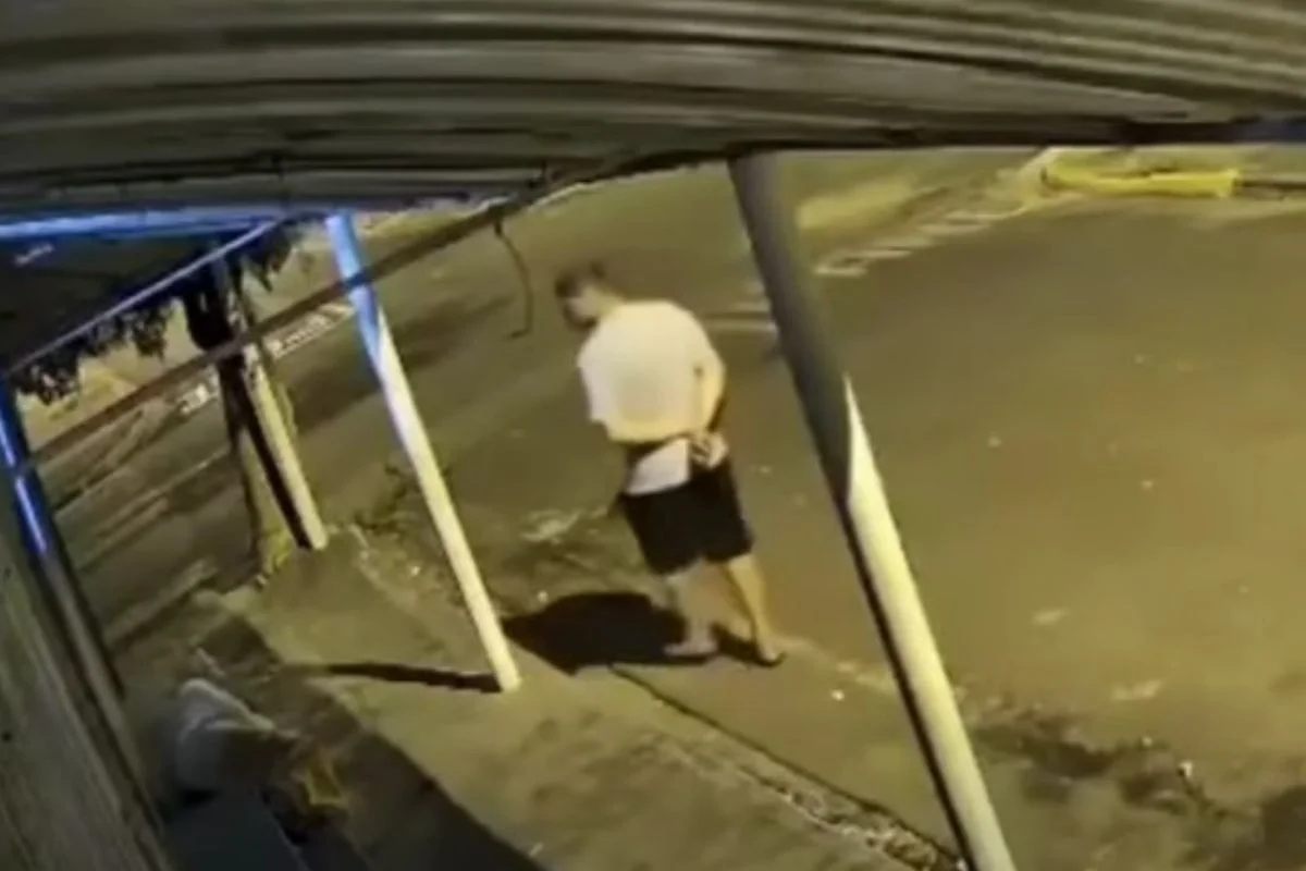 Reprodução: Redes sociais