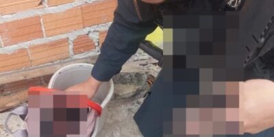 Crédito: Reprodução