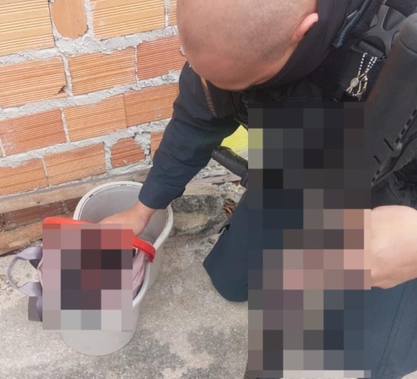 Crédito: Reprodução