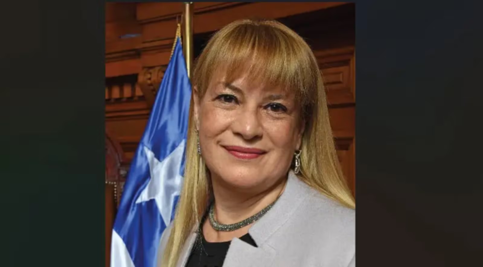 IMG_9161 - Diario do Povo Ángela Vivanco foi destituída do cargo de ministra em setembro de 2024 Foto: Pedro Mora Brito/Wikimedia Commons